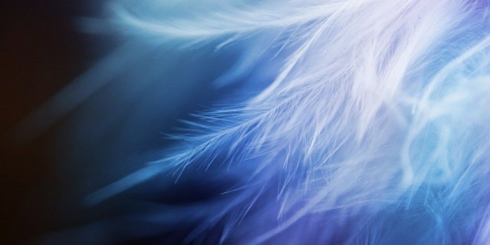 1680x1050 White, purple, black, and blue digital wallpaper HD wallpaper