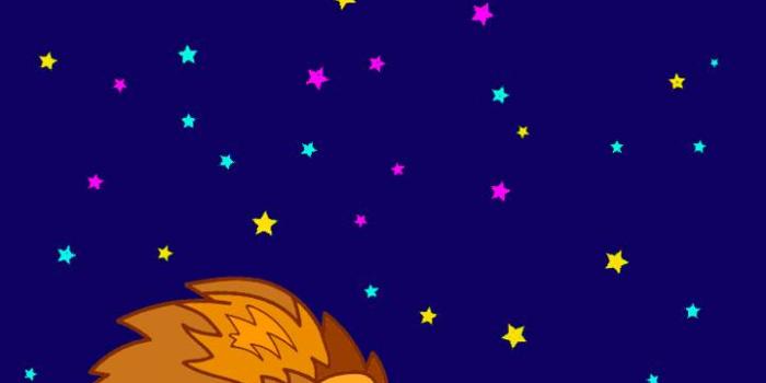 720x1280 Lions wallpaper by Emilylol7 - 56 - Free on ZEDGE™