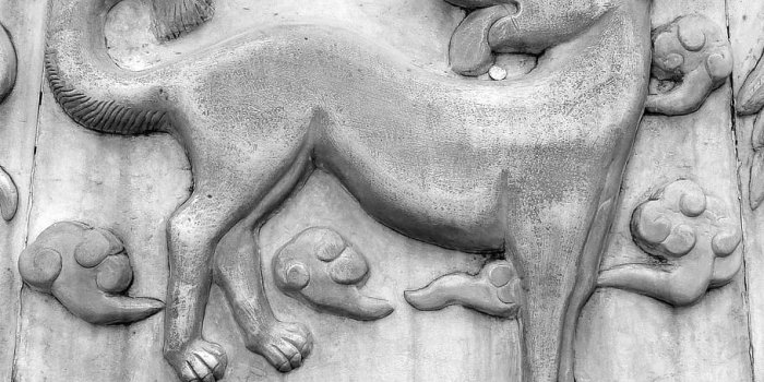 910x979 HD wallpaper: dog, chinese horoscope, symbols, animals, stonework