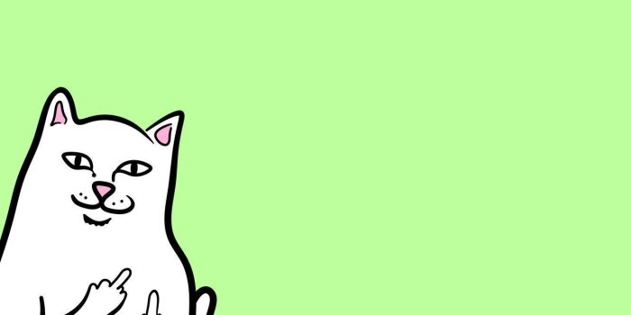 1332x850 Rip N Dip Lord Nermal Computer Wallpapers