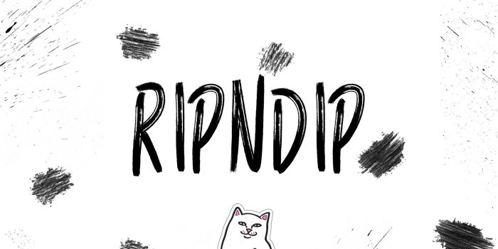 1920x1080 Rip N Dip Lord Nermal Computer Wallpapers