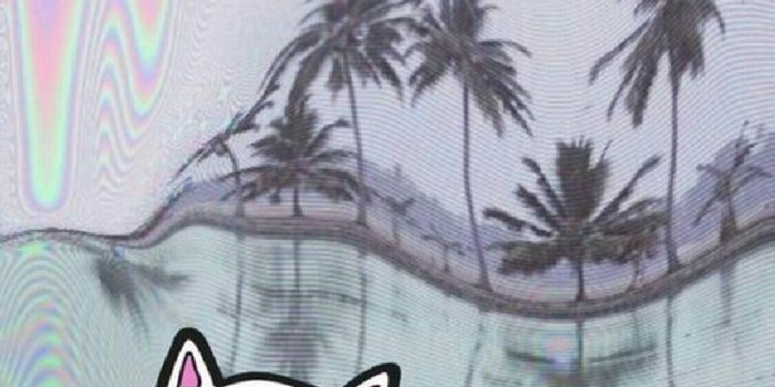 800x1280 39+] Ripndip Wallpaper on WallpaperSafari