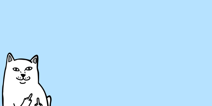 1920x1080 Ripndip Wallpaper Desktop posted by Samantha Anderson