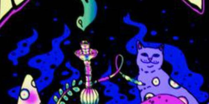 720x1280 RIPNDIP Wallpapers - Top Free RIPNDIP Backgrounds - WallpaperAccess