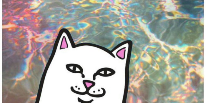 1374x1792 RIPNDIP Wallpapers - Top Free RIPNDIP Backgrounds - WallpaperAccess