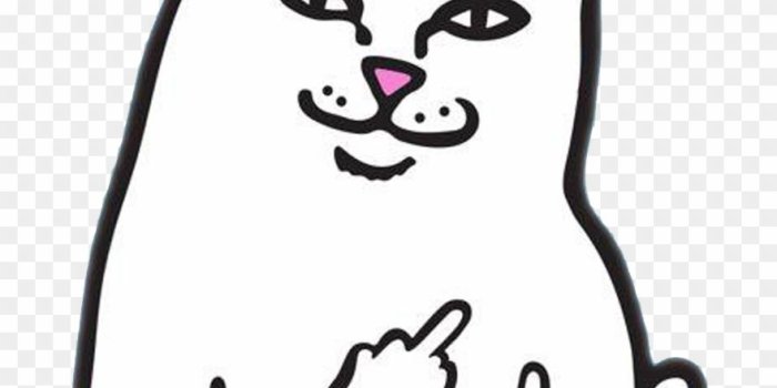 880x1006 Dip Wallpaper posted by Ethan Anderson