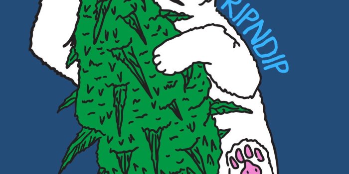1080x1920 Ripndip Wallpaper Desktop posted by Samantha Anderson