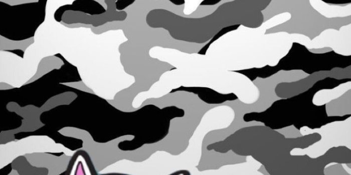 722x1280 RIPNDIP Wallpapers - Top Free RIPNDIP Backgrounds - WallpaperAccess