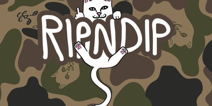 946x2048 RIPNDIP Wallpapers - Top Free RIPNDIP Backgrounds - WallpaperAccess