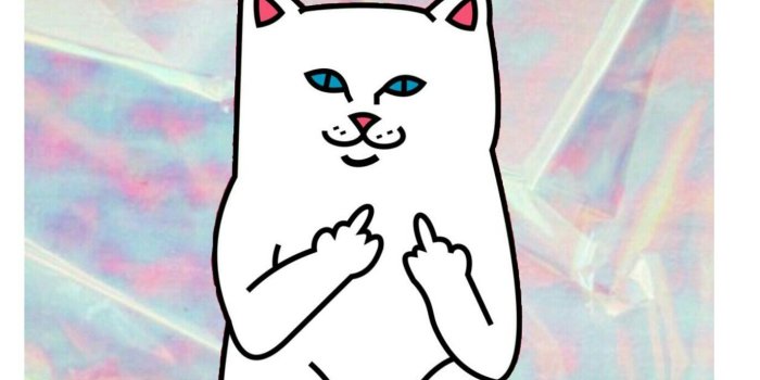 1374x1792 Ripndip cat with hologramy background #ripndip #wallpaper