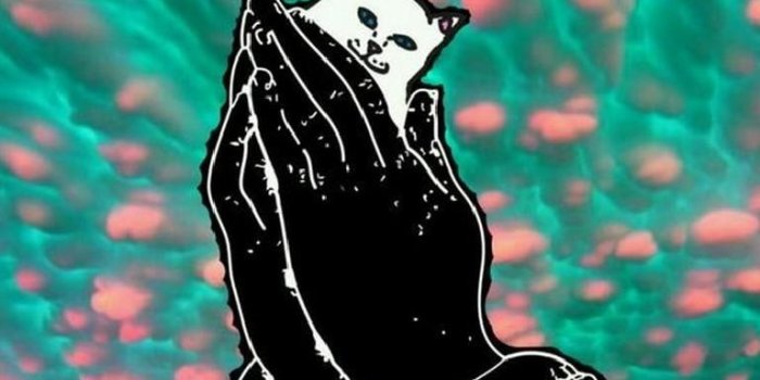 768x1028 39+] Ripndip Wallpaper on WallpaperSafari