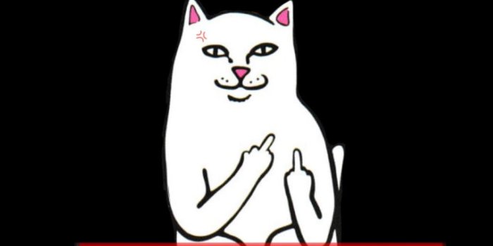 1024x1813 freetoedit #lockscreen #supreme #ripndip #cat #iphonelockscreen