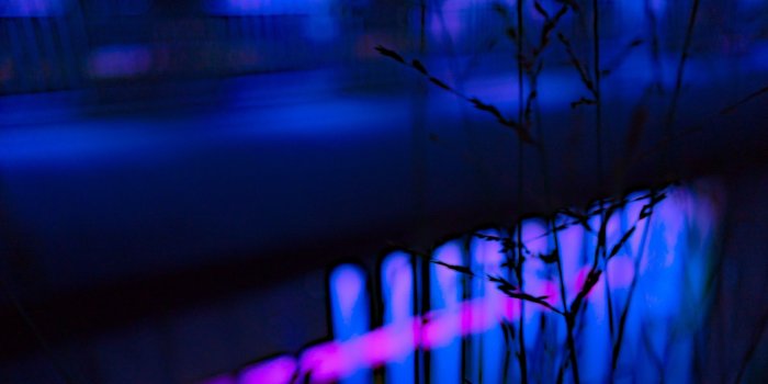 2560x1440 Grass with neon lights HD Wallpaper Youtube Cover Photo - HD