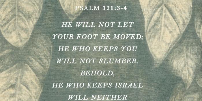 1536x2048 Psalm 121:3-4 - The Verses Project