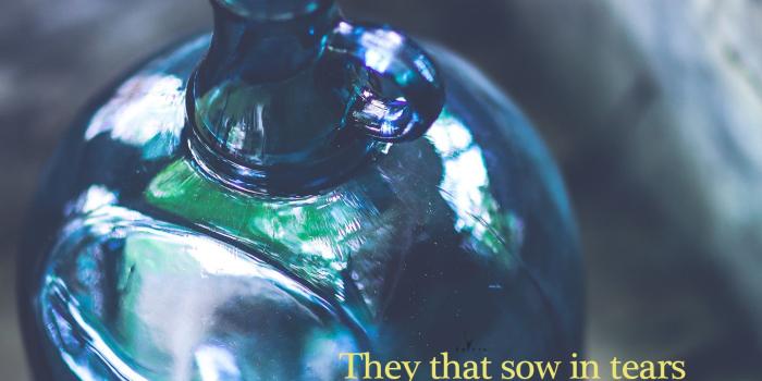 1440x2561 1440×2561