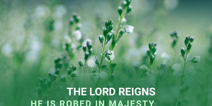 1440x2561 Worship mobile wallpaper Archives - Believers4ever.com