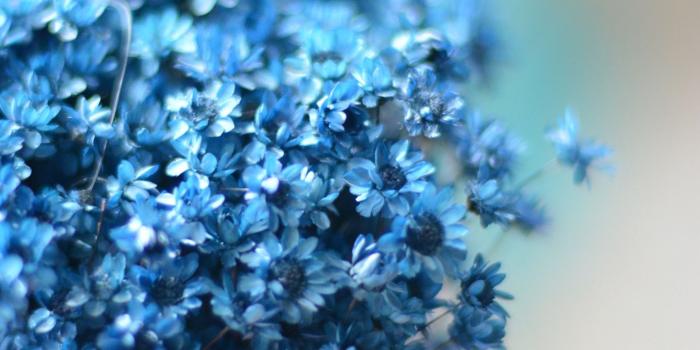 1440x2561 1440×2561