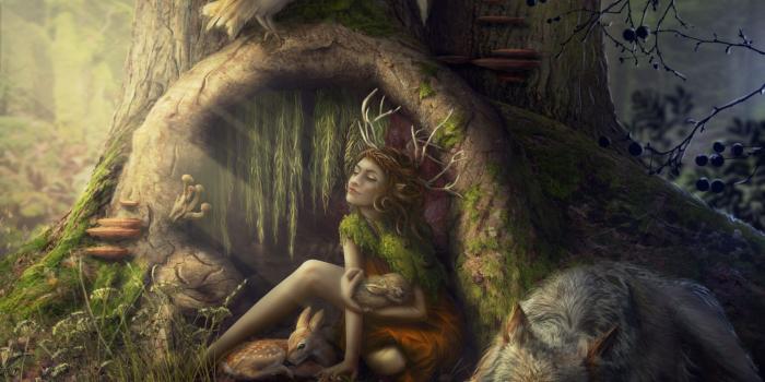 2000x1498 Images wolf Girls Fantasy Fantastic world 2000x1498