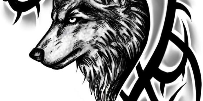 736x1143 Dark Wolf Tattoo Designs Nordic Wolf Tattoos Tribal Tattoo