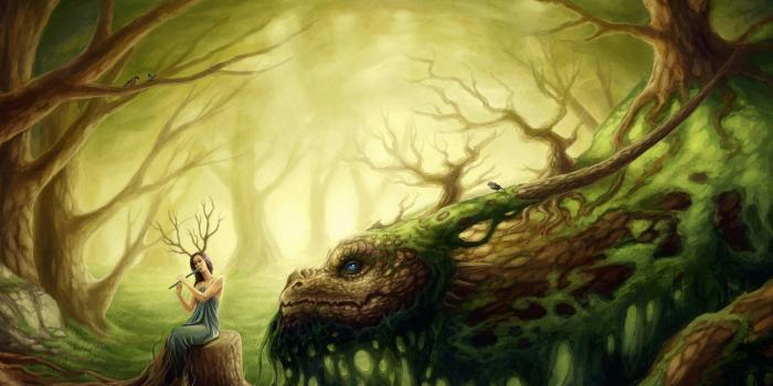 2560x1600 Fantasy wallpaper | 2560x1600 | #37927