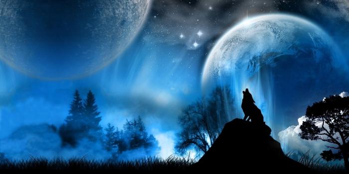 1920x1200 Wolf - Wolves Wallpaper (18493063) - Fanpop