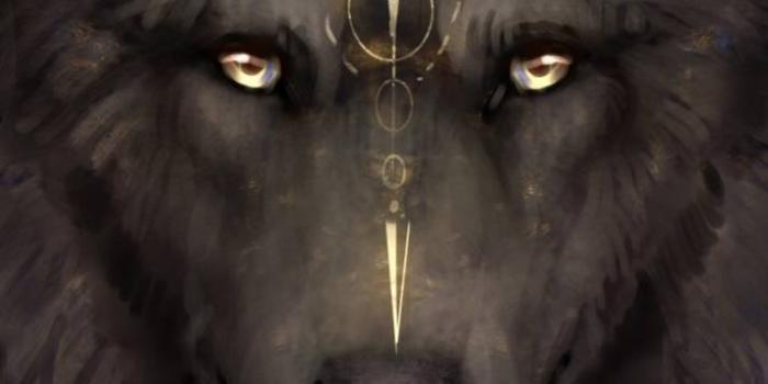 713x1280 Tribal Wolf Wallpapers posted by Ryan Mercado