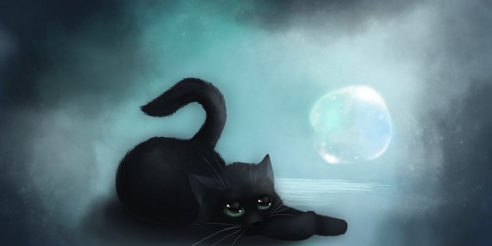 1680x1050 cat art | Black Cat In Moon Wallpaper Picture #12958 Wallpaper
