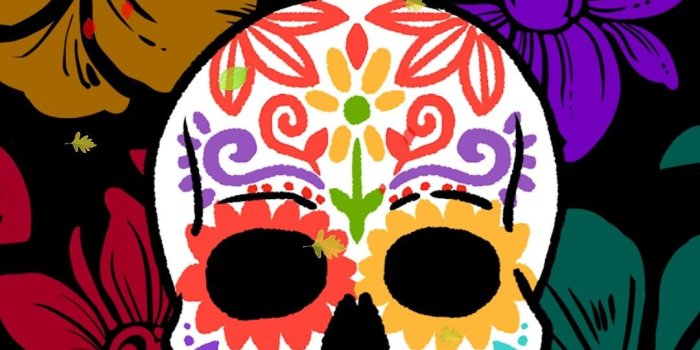 1080x2220 Locked Wallpaper, Lock Screen Wallpaper, Mobile Wallpaper, - Skull