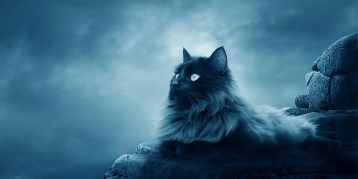 1680x1050 Black Moon Wallpaper and Background Image | 1680x1050 | ID:121678