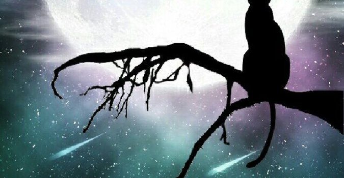 675x1200 CocoPPa on Twitter: 