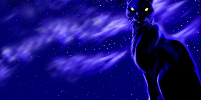 1280x1024 Black cat moon at night wallpapers and images - wallpapers