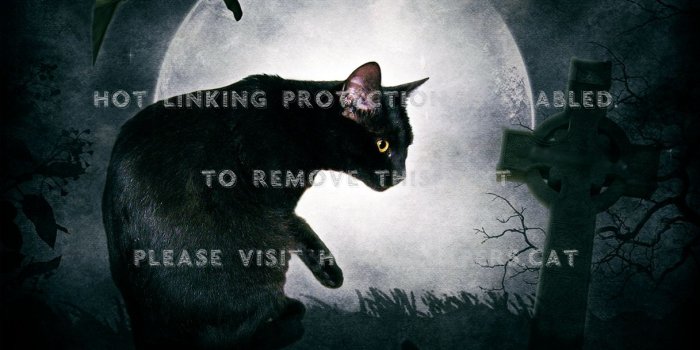 1217x969 the black cat moon artwork cemetery bat