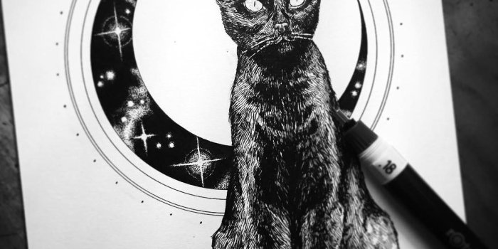 1080x1080 Black cat & moon | petercarrington | Tatuagem gato preto