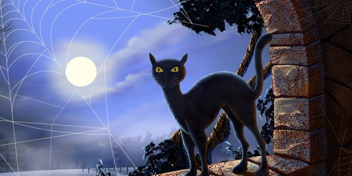 1332x850 Wallpaper night, web, the full moon, black cat, yellow eyes, black