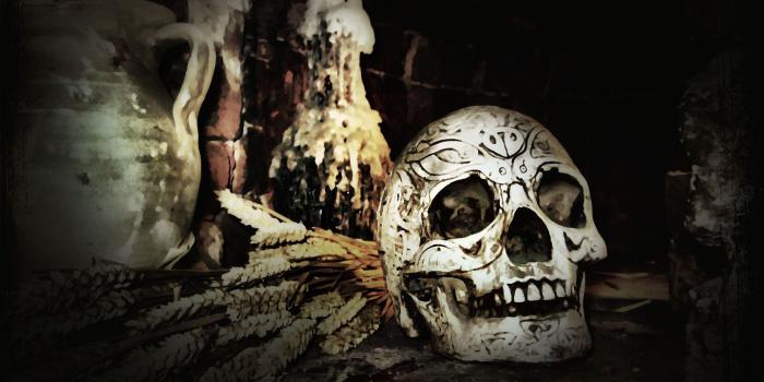 1440x900 Free download Skull Wallpaper and Background 1440x900 ID90060