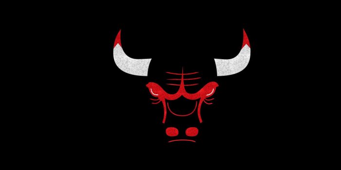 1920x1080 Chicago Bulls Wallpapers HD