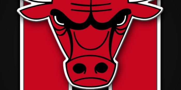 1080x1920 Collection Of Chicago Bulls Wallpaper Iphone On Hdwallpapers