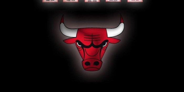 1024x768 Chicago Bulls Wallpapers High Quality