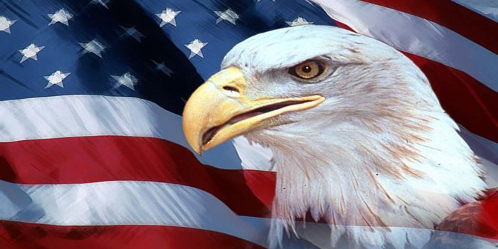 2560x1440 American Flag Eagles Wallpapers - Top Free American Flag Eagles