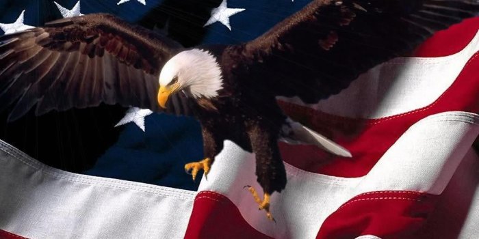 1024x768 pictures of eagles with american flag | Eagle and American flag