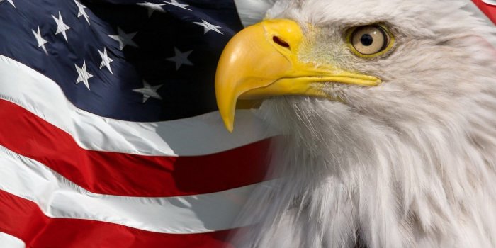 1920x1440 American Flag And Bald Eagle Symbol Of America Picture Hd