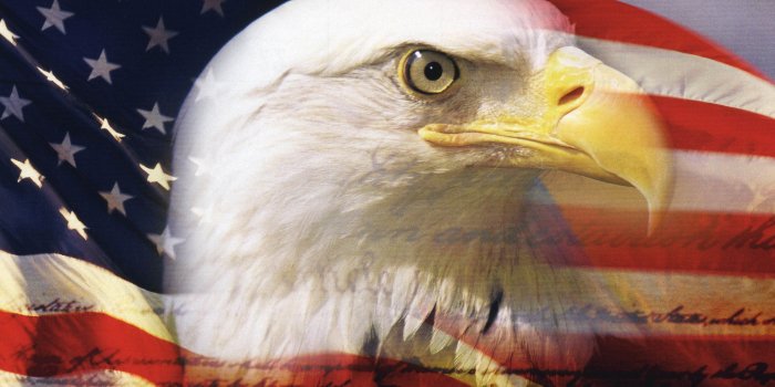 2888x2422 41+] Flag and Eagle Wallpaper Free on WallpaperSafari