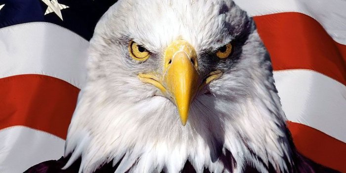 1024x768 Us Eagle Flag Wallpapers - Top Free Us Eagle Flag Backgrounds
