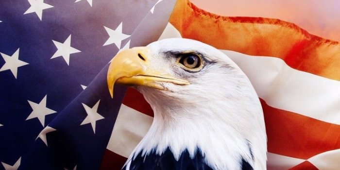 744x1392 iPod Wallpaper | Patriotic wallpaper, Bald eagle, Cool wallpapers