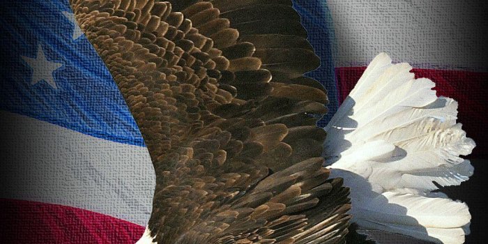 1077x1920 The American Eagle Wallpapers