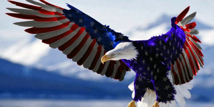 1920x1080 Bald Eagle American Flag Hd Wallpaper For Mobile Phones Tablet And