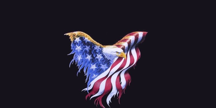 960x854 Patriotic Eagle With Usa Flag - American Flag Winged Eagle