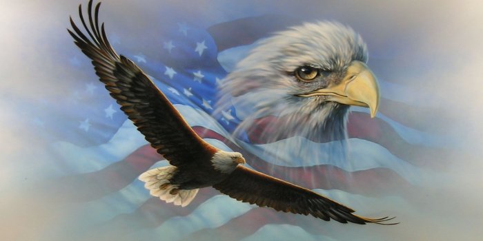 1987x1283 Patriotic Eagle Wallpapers (61+ images)