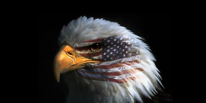 3840x2400 Eagle Phone Wallpaper posted by Ryan Cunningham