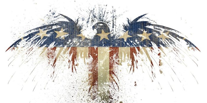 1600x1200 Blue, white, and red U.S.A eagle illustration, flag, American flag